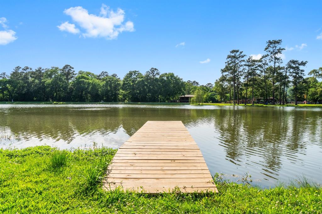 19348 E Lakeshore Drive, Magnolia, Texas image 33