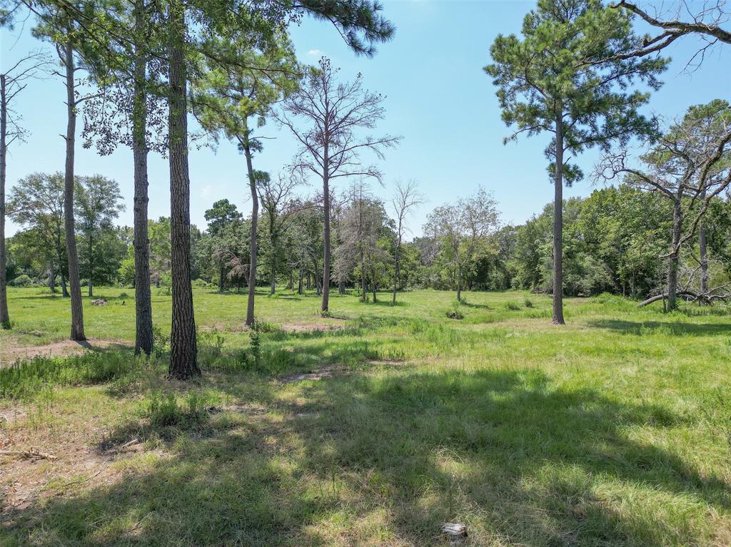 6781 Atakapan Trail, Bedias, Texas image 3