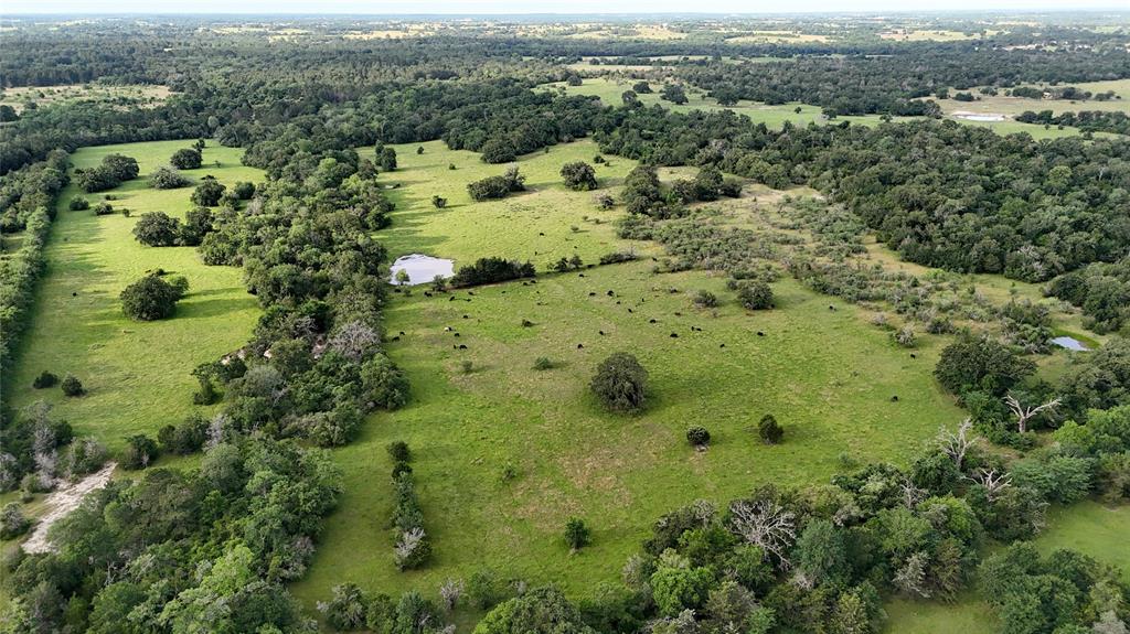 5564 Highway 90, Anderson, Texas image 8