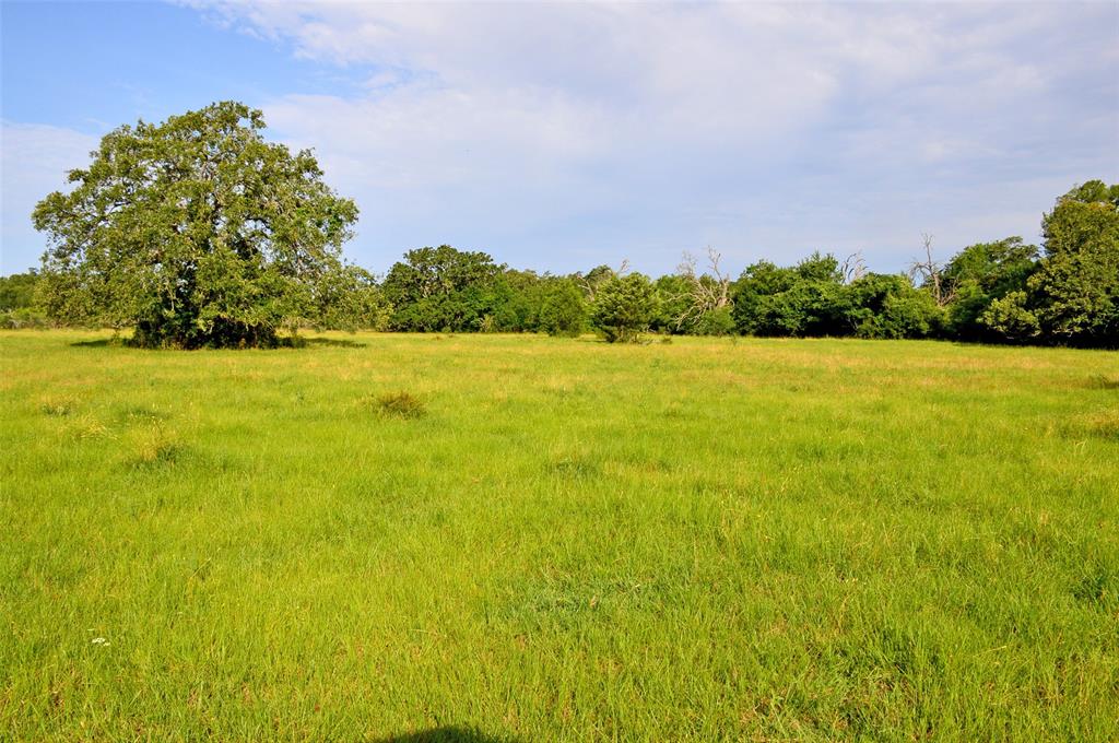 5564 Highway 90, Anderson, Texas image 10