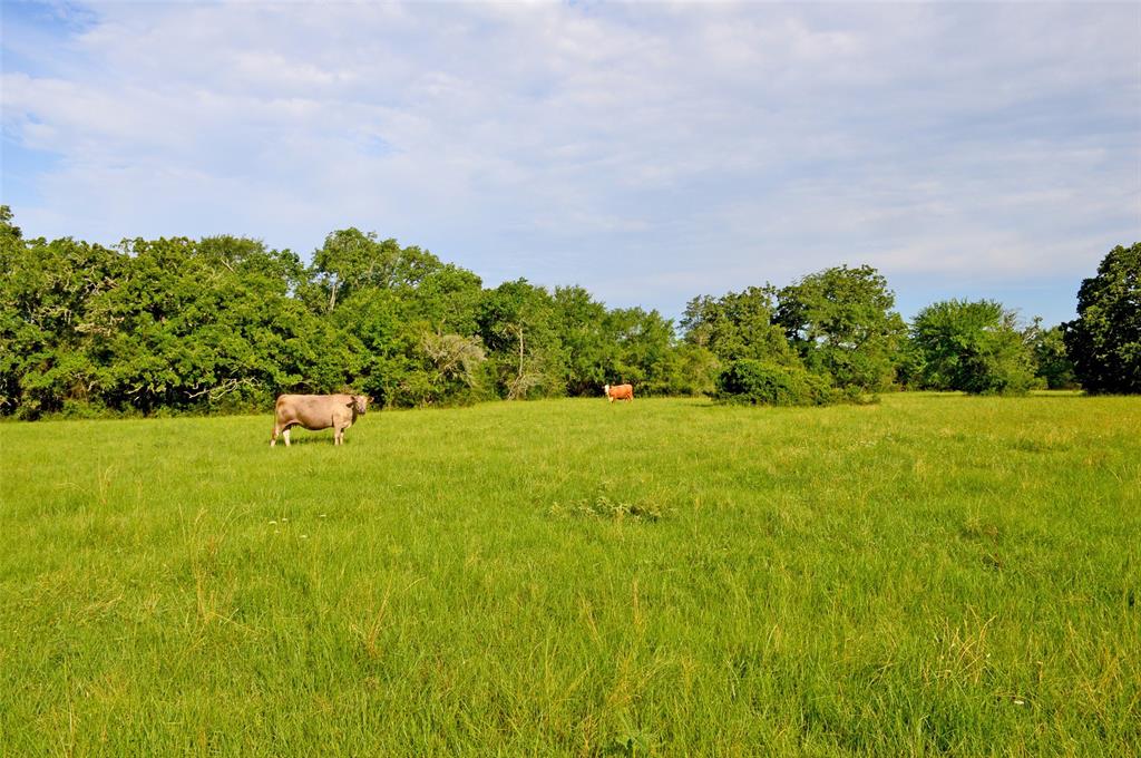 5564 Highway 90, Anderson, Texas image 16