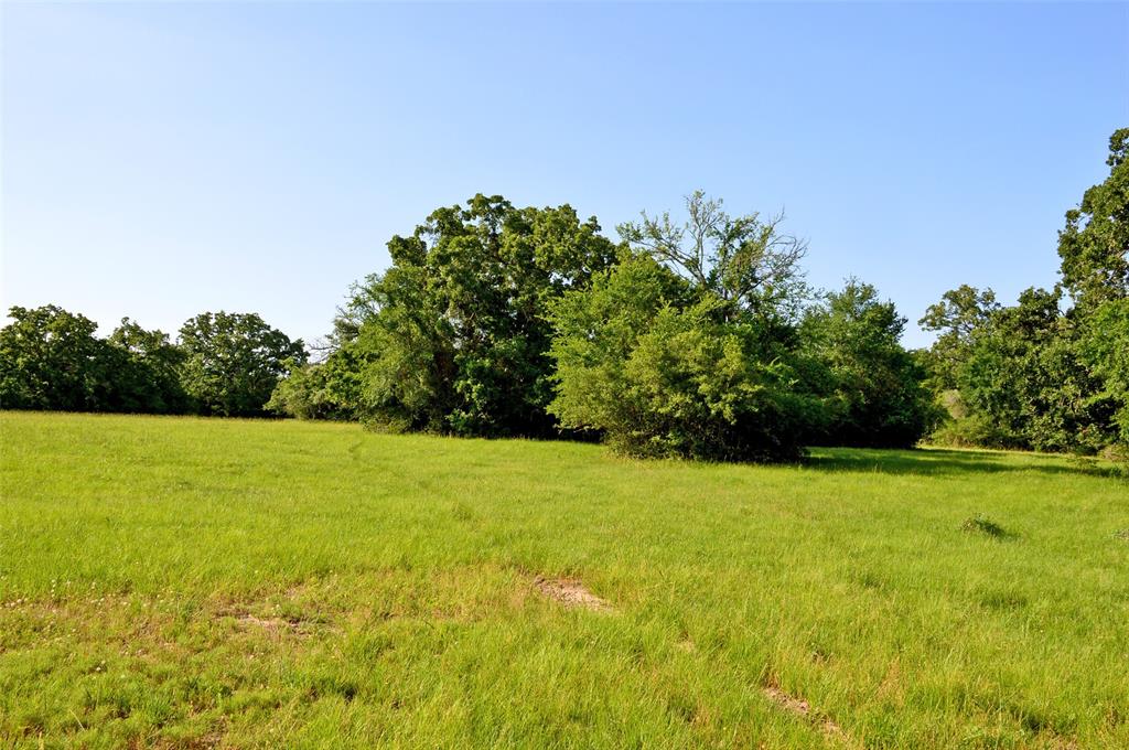 5564 Highway 90, Anderson, Texas image 18