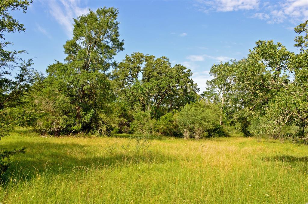5564 Highway 90, Anderson, Texas image 7