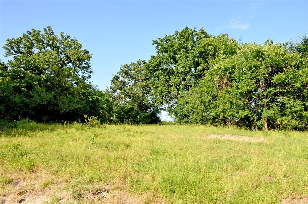 5564 Highway 90, Anderson, Texas image 22
