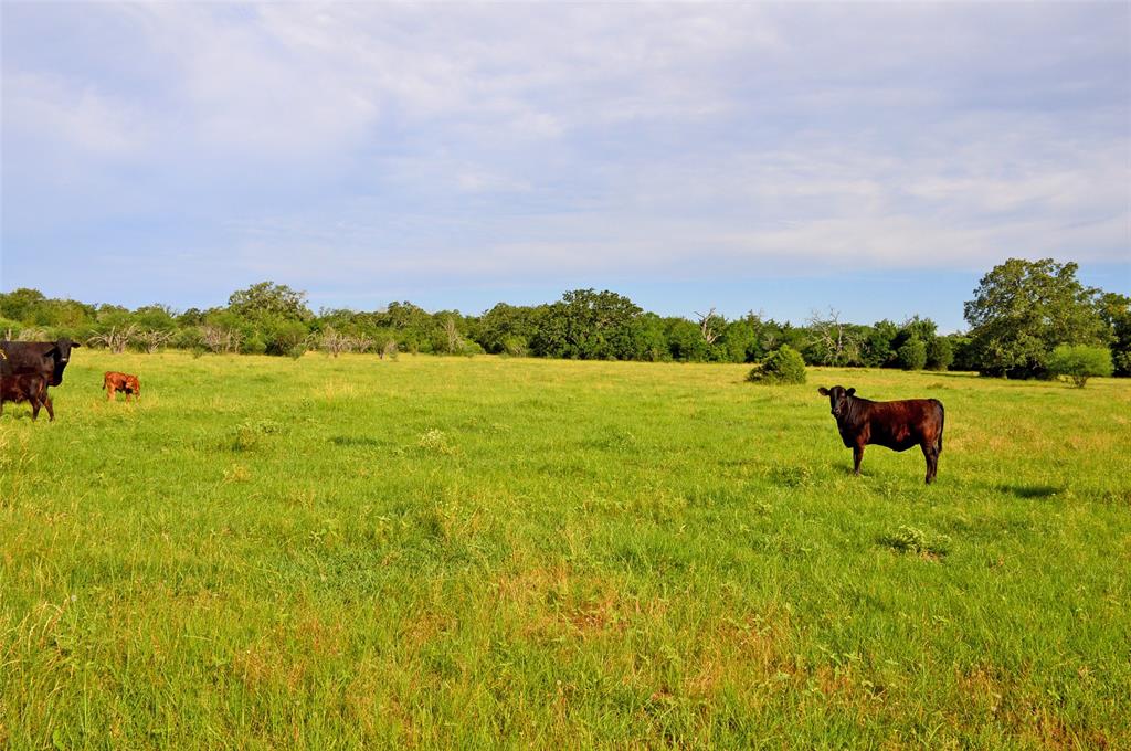 5564 Highway 90, Anderson, Texas image 11