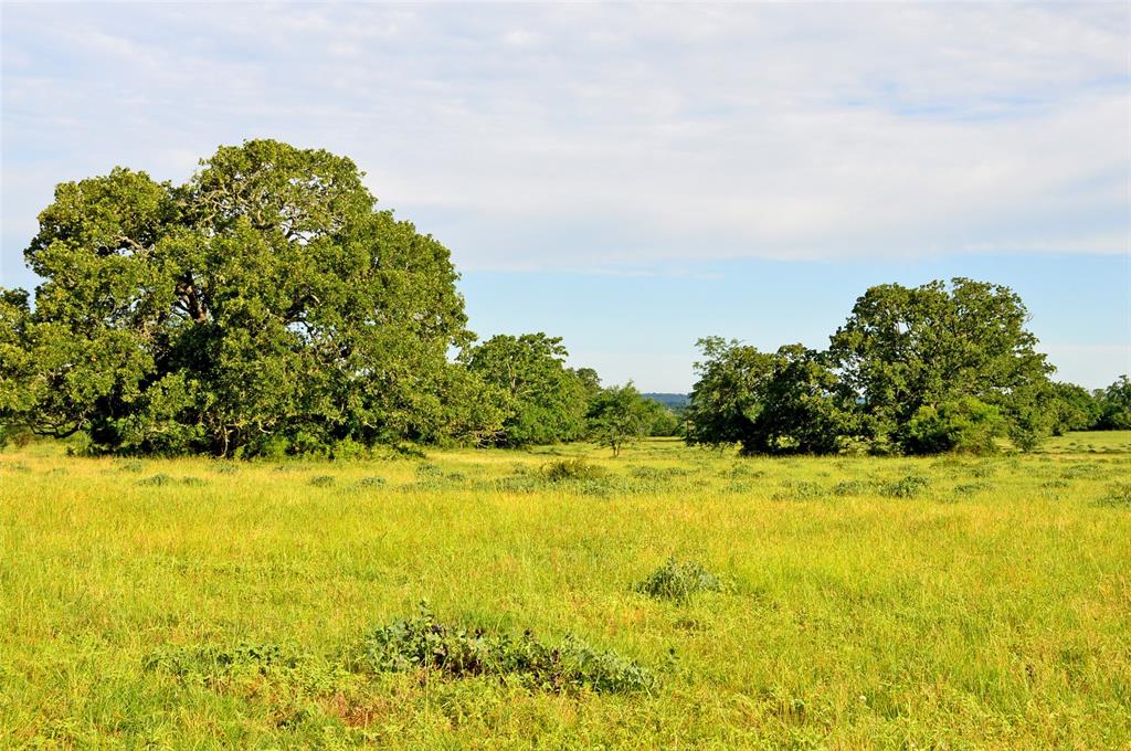 5564 Highway 90, Anderson, Texas image 27