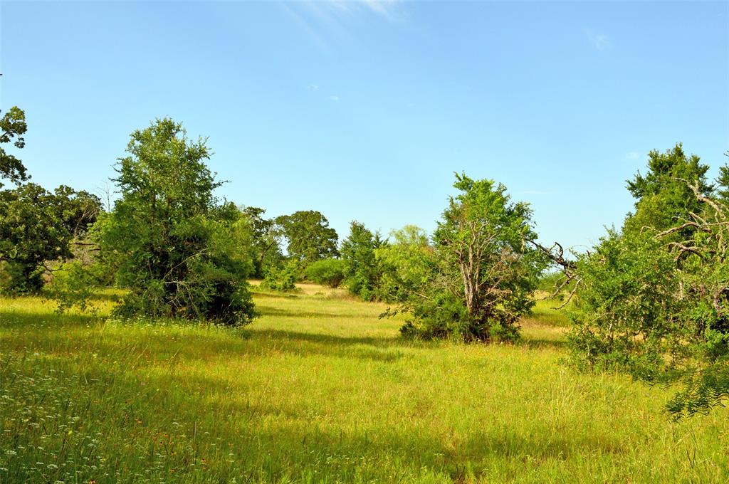 5564 Highway 90 N