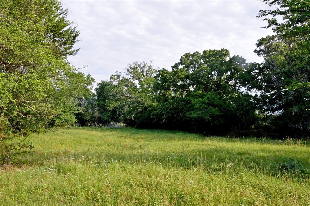 5564 Highway 90, Anderson, Texas image 30