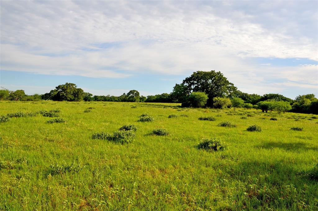 5564 Highway 90, Anderson, Texas image 28