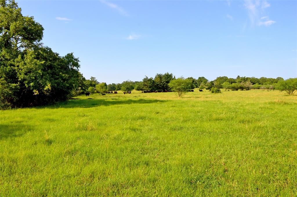 5564 Highway 90, Anderson, Texas image 9
