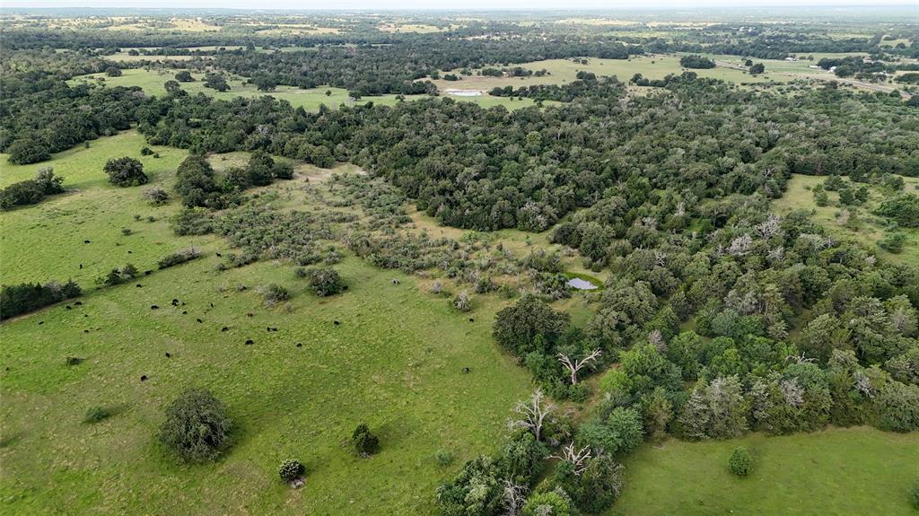 5564 Highway 90, Anderson, Texas image 35