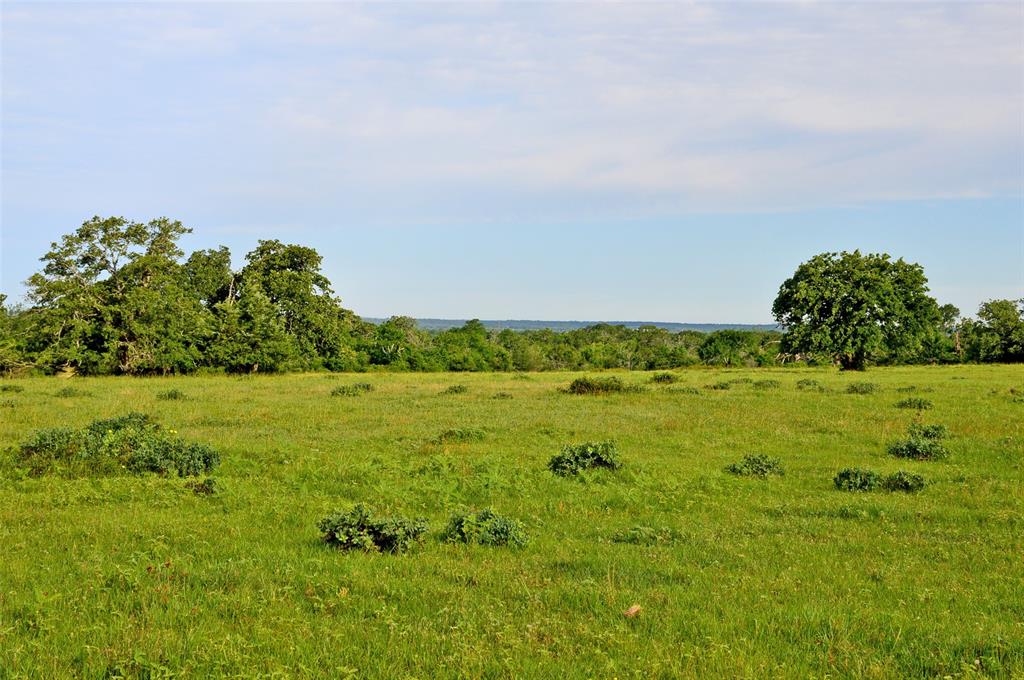 5564 Highway 90, Anderson, Texas image 26