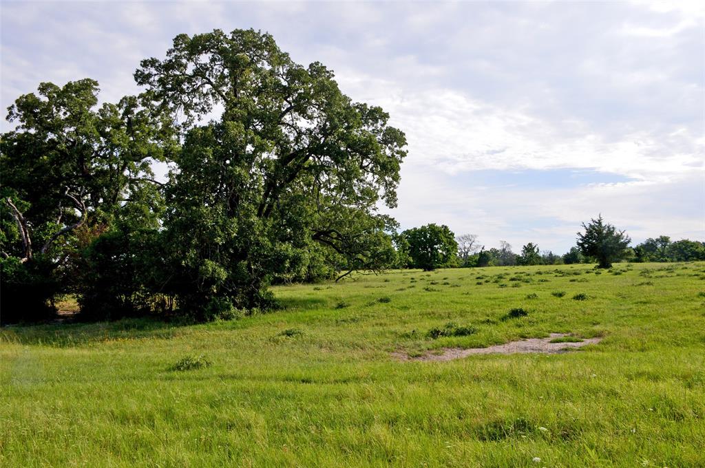 5564 Highway 90, Anderson, Texas image 29