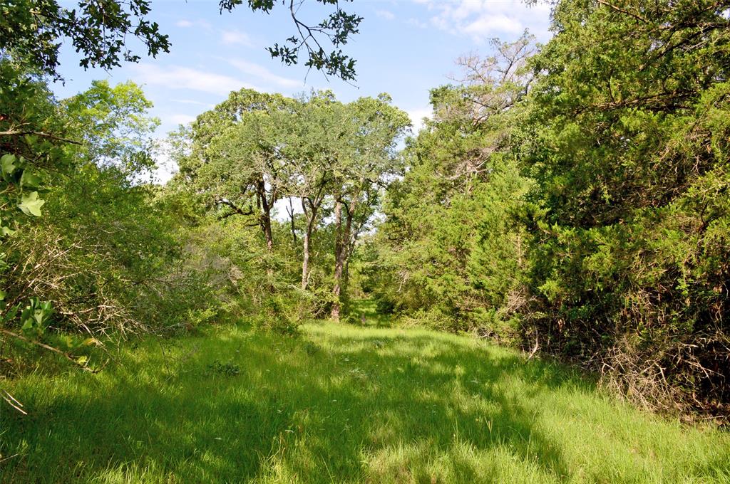5564 Highway 90, Anderson, Texas image 6