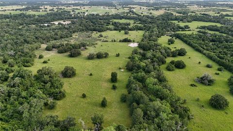 Photo of 5564 Highway 90 N, Anderson, TX 77830 (MLS # 20639769)