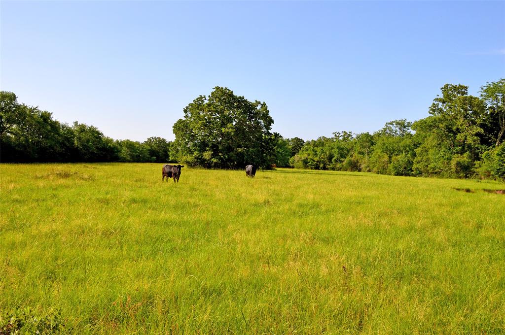 5564 Highway 90, Anderson, Texas image 14