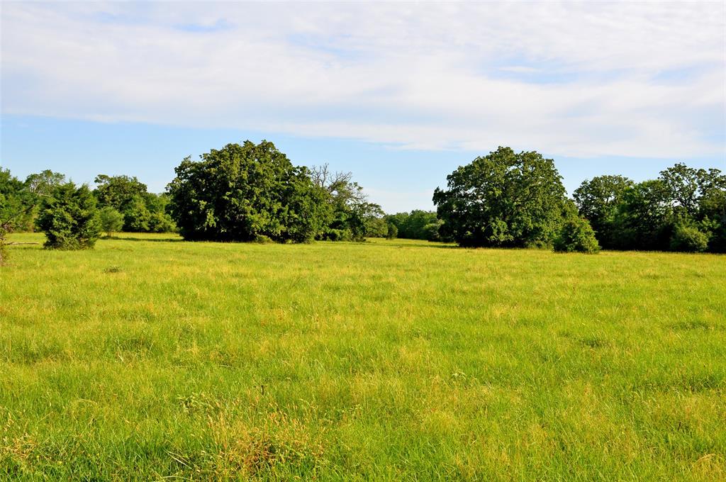 5564 Highway 90, Anderson, Texas image 17