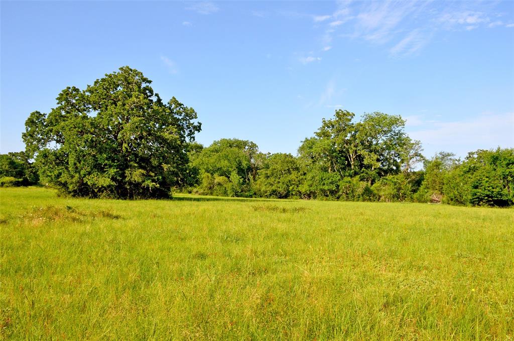 5564 Highway 90, Anderson, Texas image 15