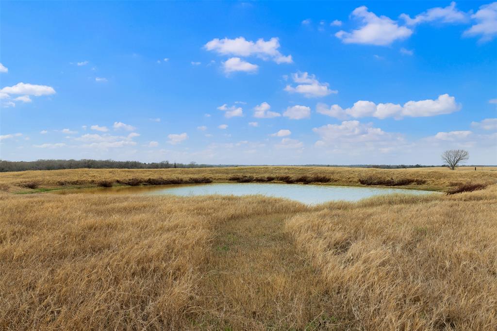 1252 County Road 106, Paige, Texas image 41