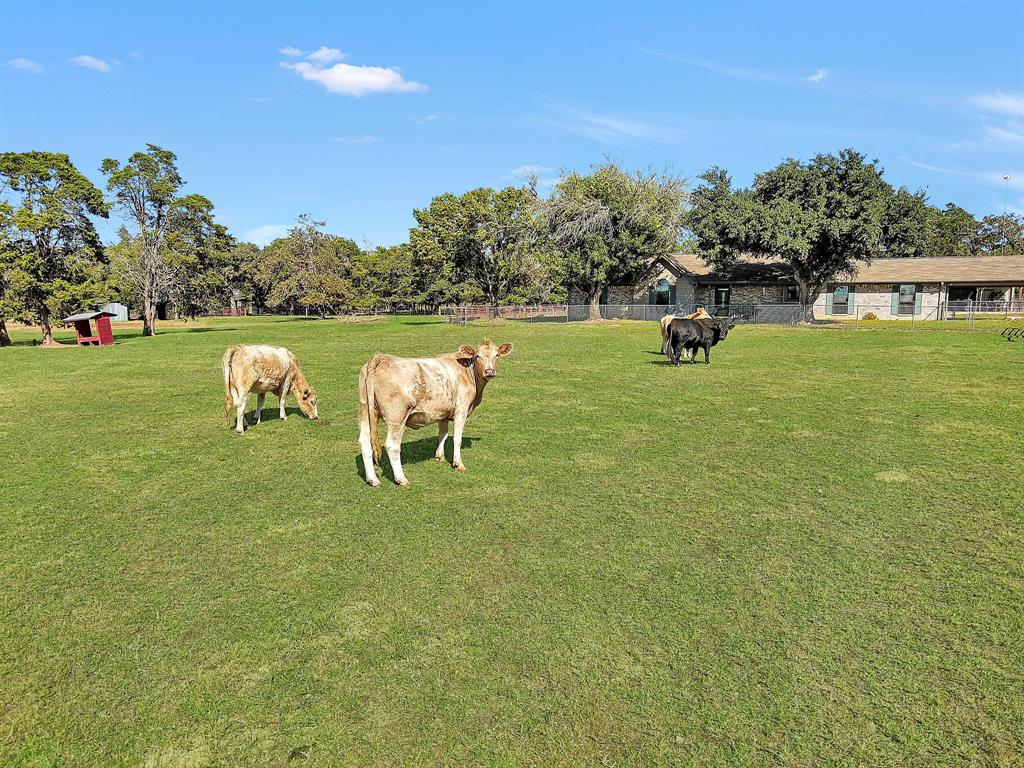 1252 County Road 106, Paige, Texas image 43