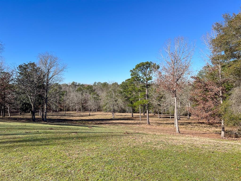 Off Fm 2991, Burkeville, Texas image 14