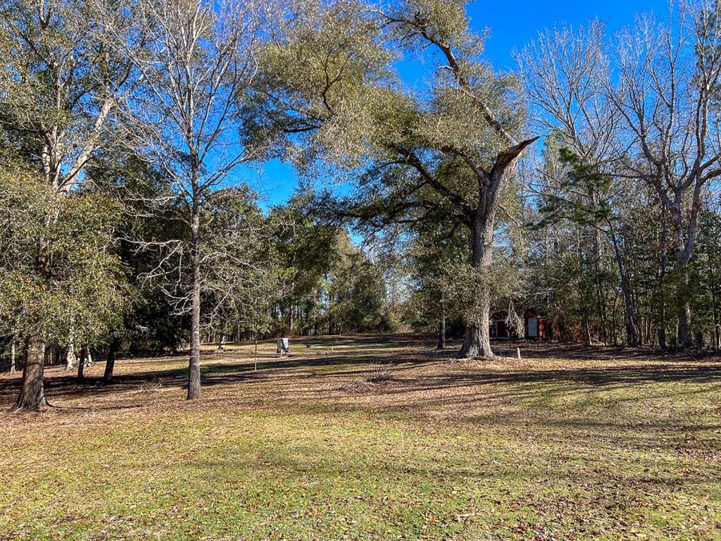 Off Fm 2991, Burkeville, Texas image 41