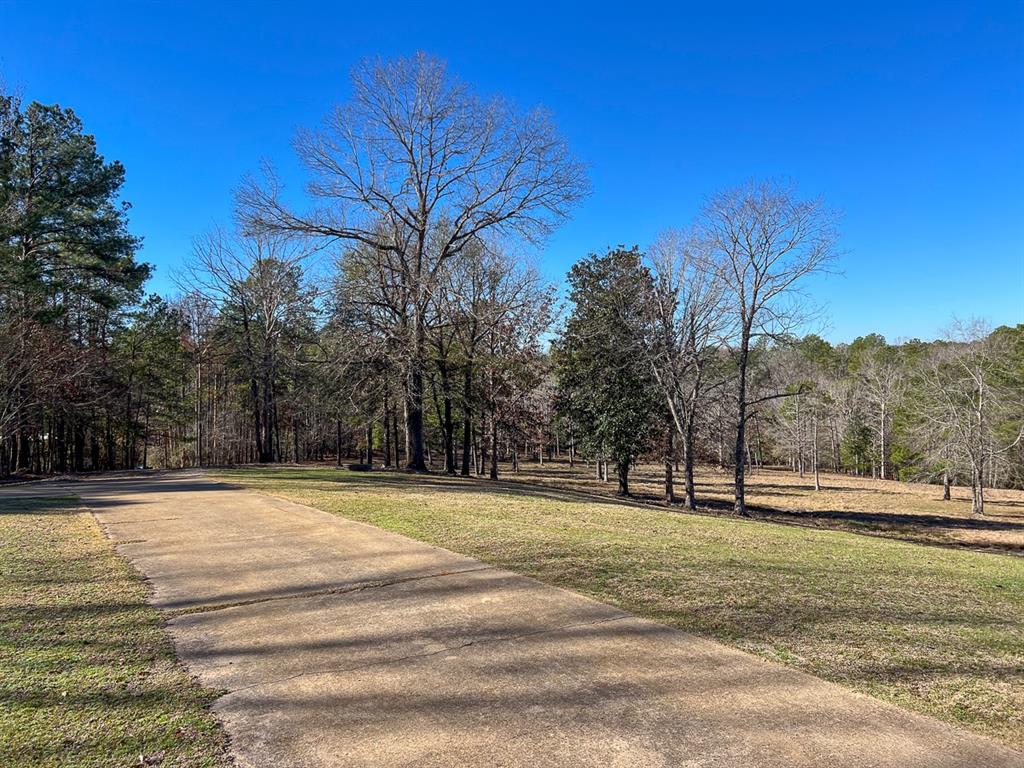 Off Fm 2991, Burkeville, Texas image 42