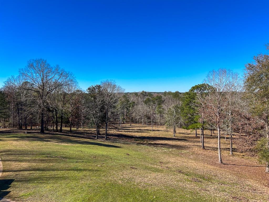 Off Fm 2991, Burkeville, Texas image 40