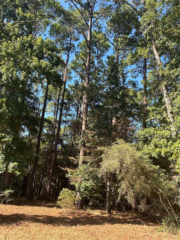 606162 Grand Pine Circle