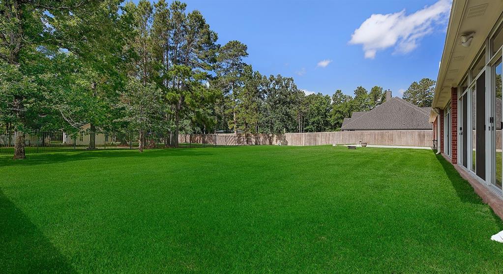 15569 Zoe Loop Drive, Montgomery, Texas image 28
