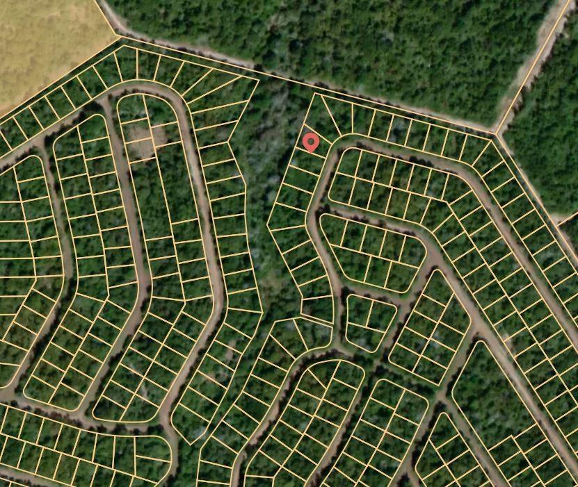 Lot 10 Mushroom Circle, Normangee, Texas image 4