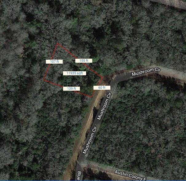 Lot 10 Mushroom Circle, Normangee, Texas image 6