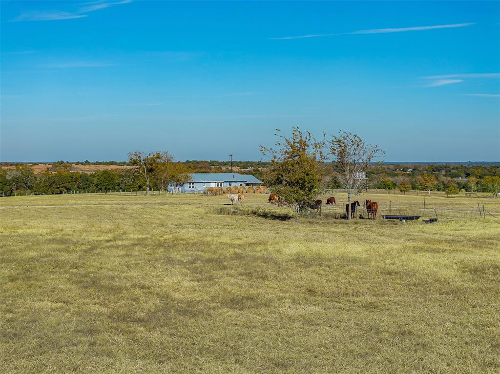 4435 Hartfield Road, Round Top, Texas image 12