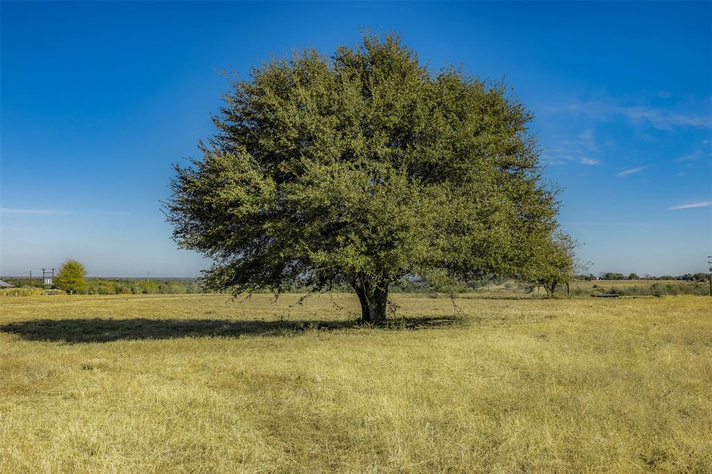 4435 Hartfield Road, Round Top, Texas image 5