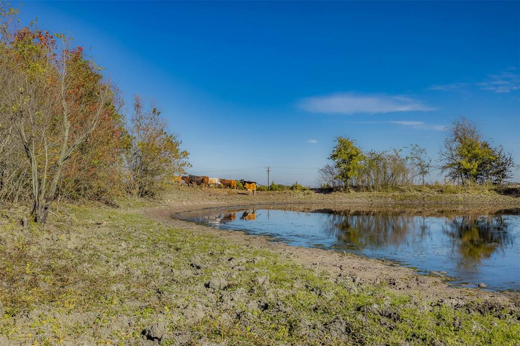 4435 Hartfield Road, Round Top, Texas image 8