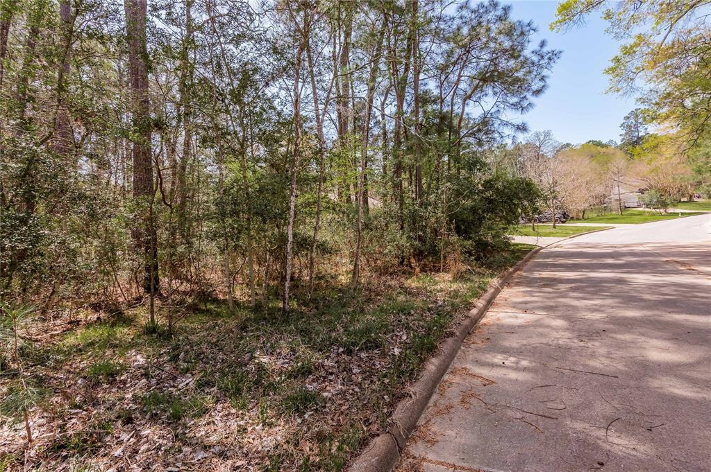 609 West Lane, Huntsville, Texas image 7