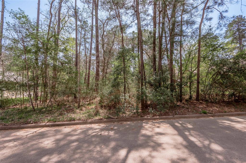 609 West Lane, Huntsville, Texas image 4