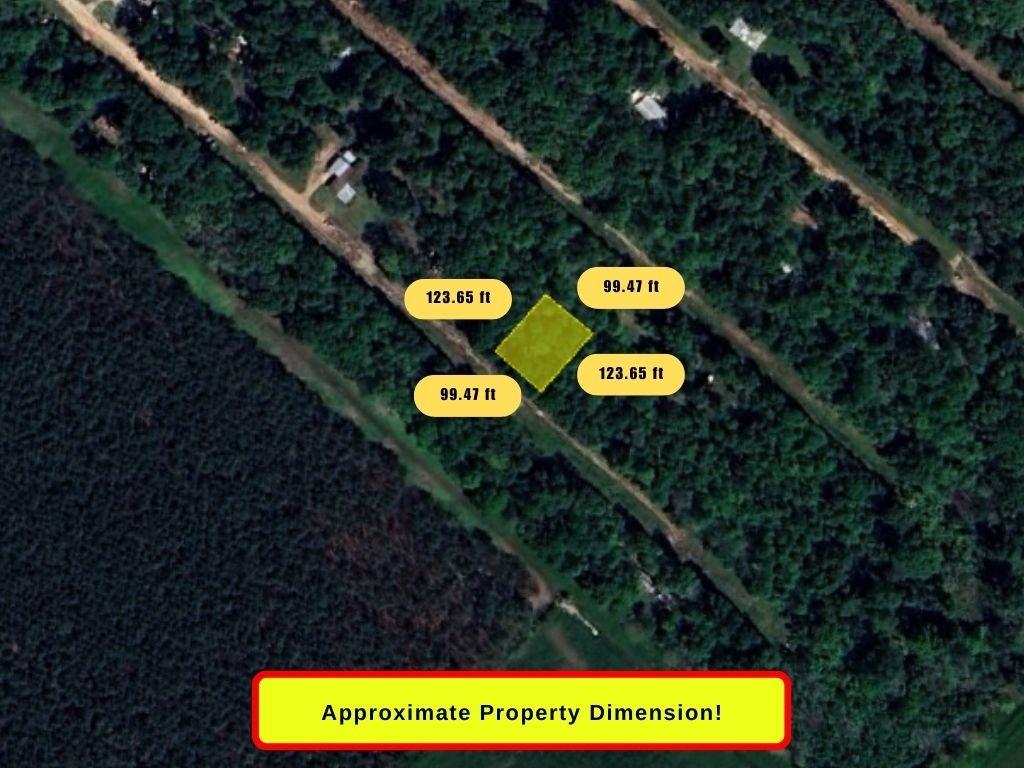 00 Terrell Road, Livingston, Texas image 2