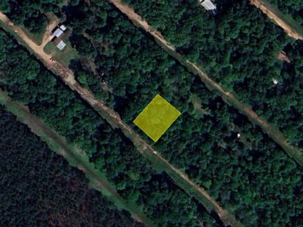 00 Terrell Road, Livingston, Texas image 1