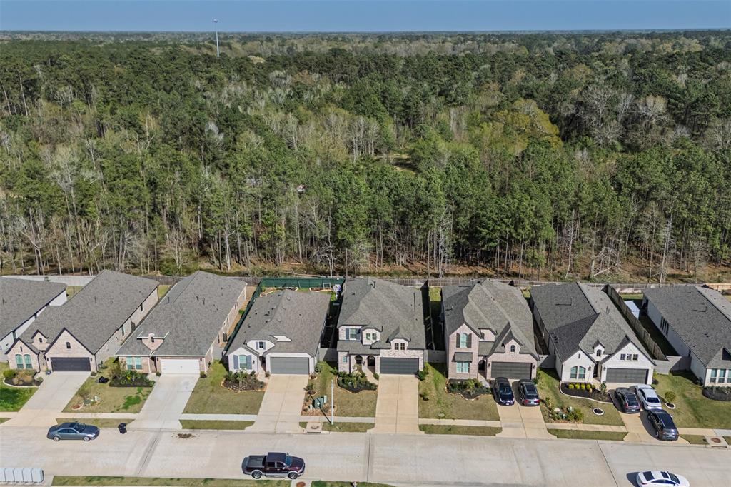 17351 Merigold Heights Drive, Conroe, Texas image 4