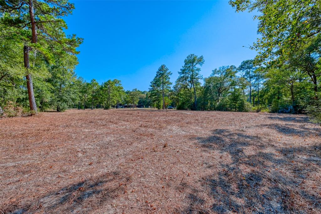 23710 Country Lane, Hockley, Texas image 9