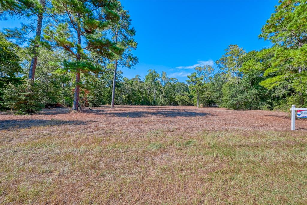 23710 Country Lane, Hockley, Texas image 3