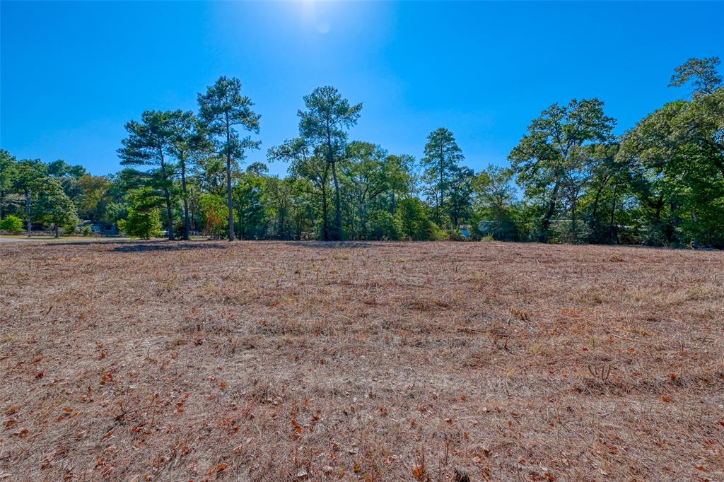 23710 Country Lane, Hockley, Texas image 7