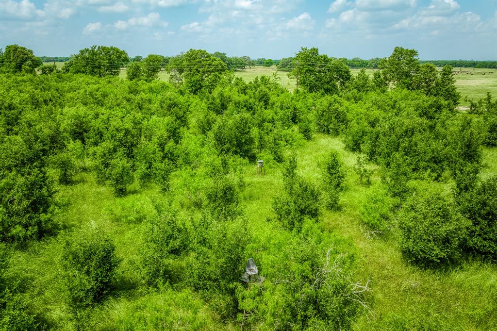 10396 County Road 276, Somerville, Texas image 1