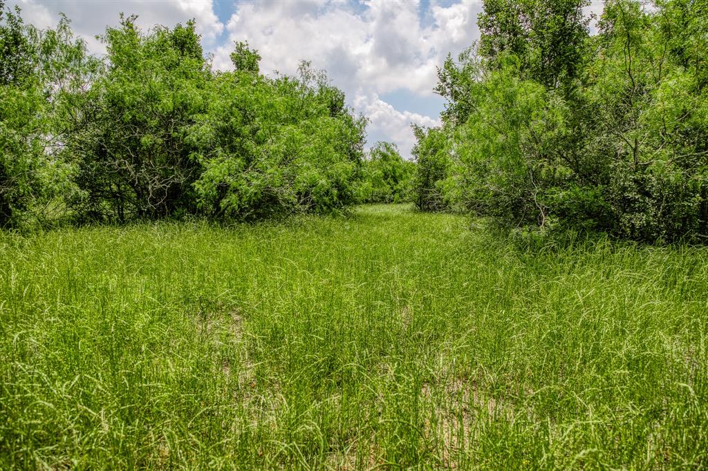 10396 County Road 276, Somerville, Texas image 8