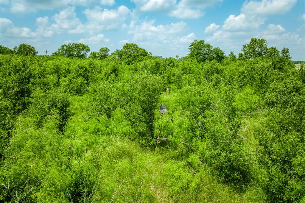 10396 County Road 276, Somerville, Texas image 12