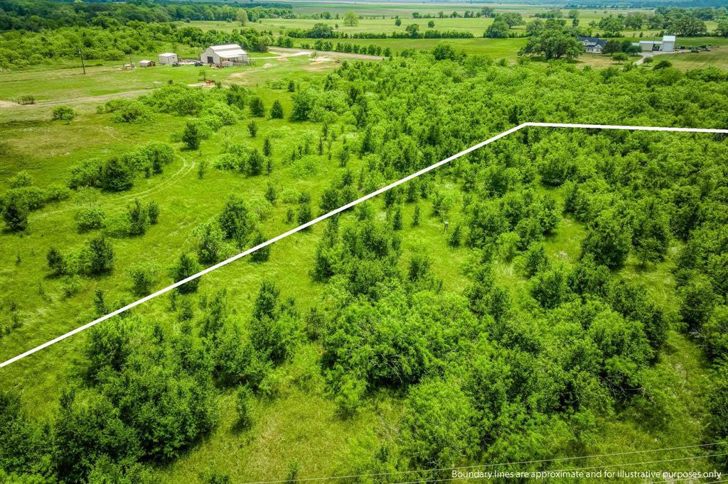 10396 County Road 276, Somerville, Texas image 13