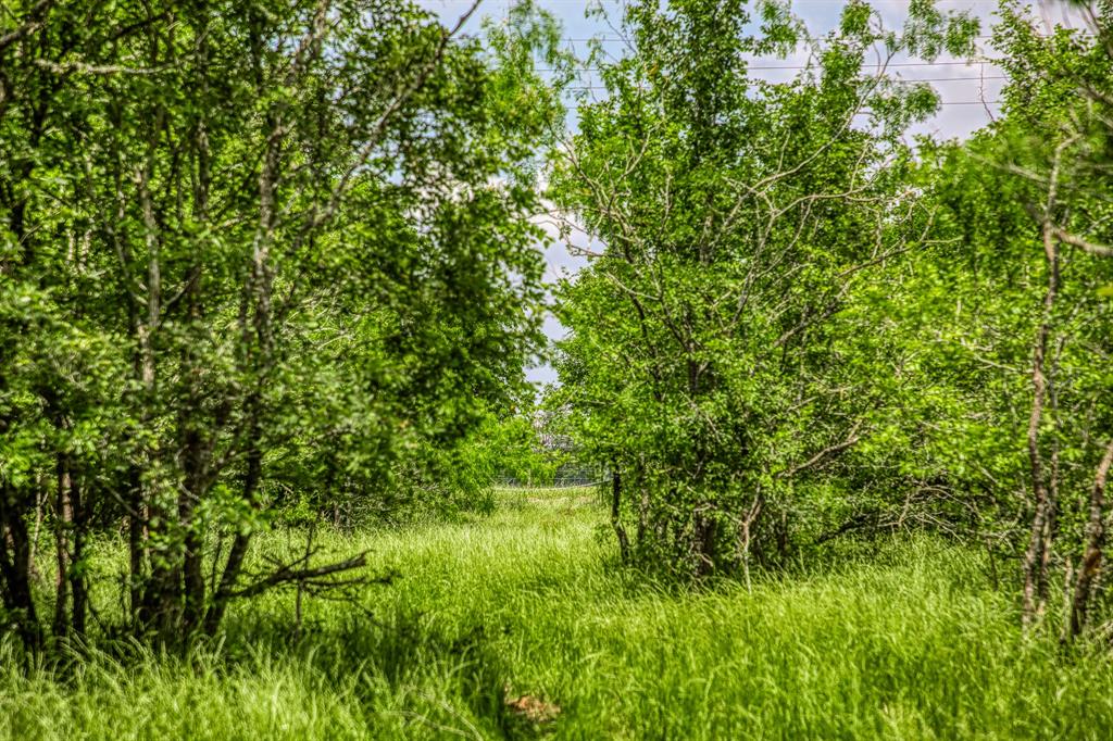 10396 County Road 276, Somerville, Texas image 6