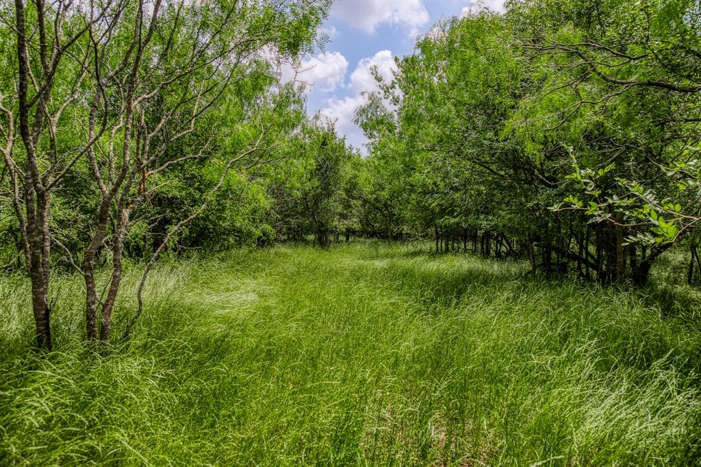 10396 County Road 276, Somerville, Texas image 2