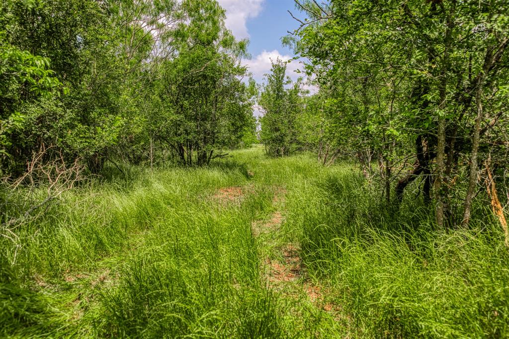 10396 County Road 276, Somerville, Texas image 5